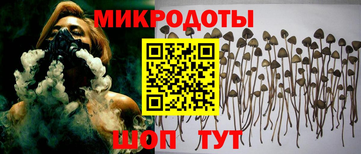 Псилоцибиновые грибы GOLDEN TEACHER Елец
