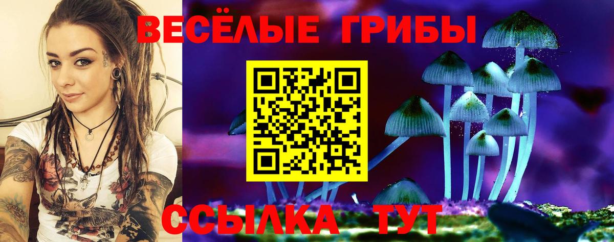 Псилоцибиновые грибы мицелий  Псилоцибиновые грибы MAGIC MUSHROOMS  Елец  наркота  Вход с VPN 